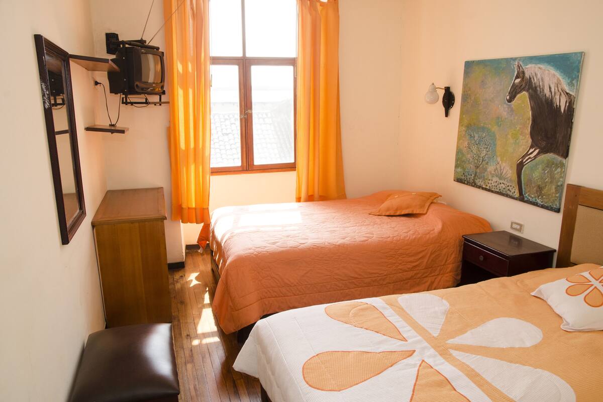 Un dormitorio con dos camas, un televisor montado en la pared y un cuadro de un caballo.