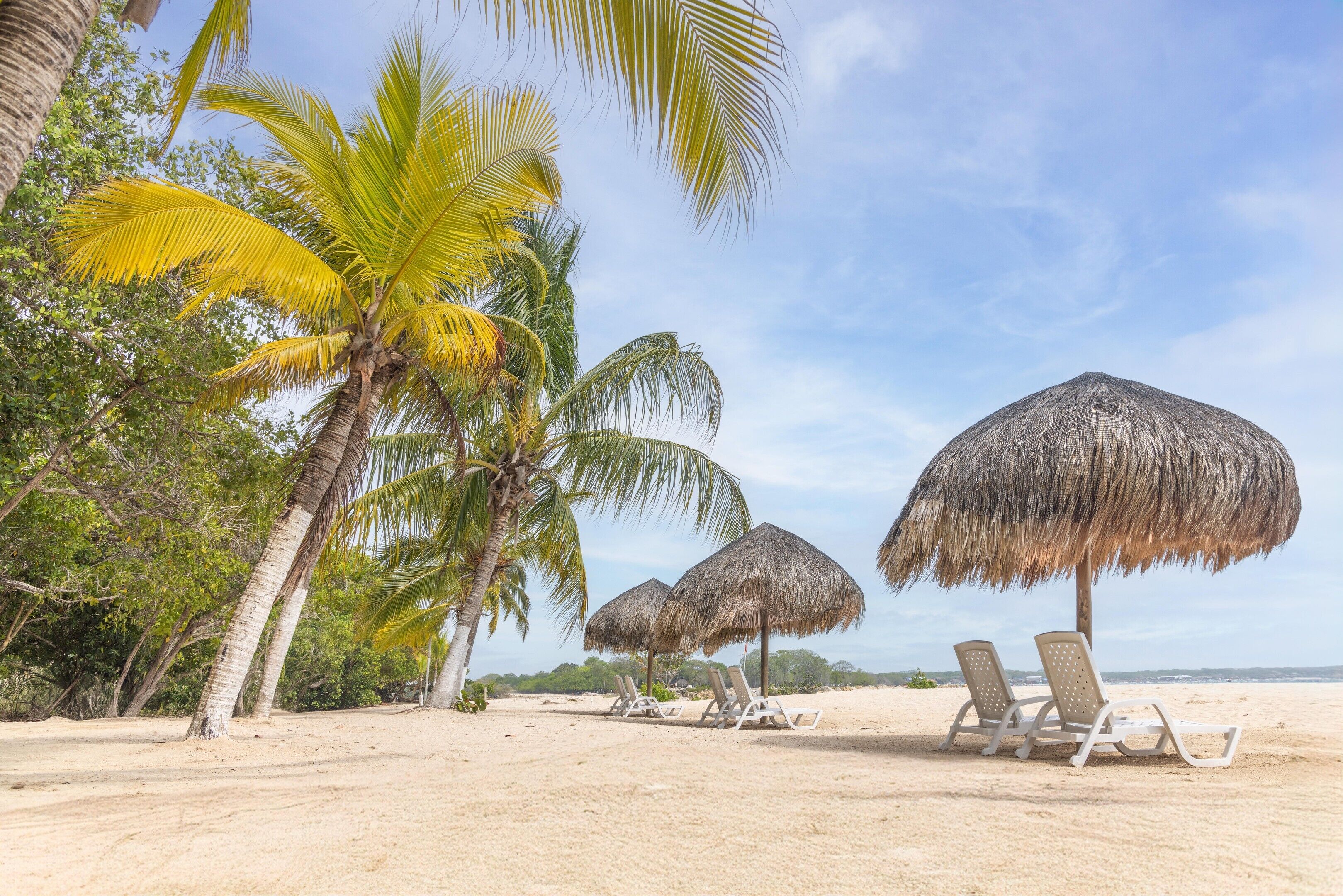 Une plage bordée de palmiers, avec des parasols en chaume et des chaises de plage.