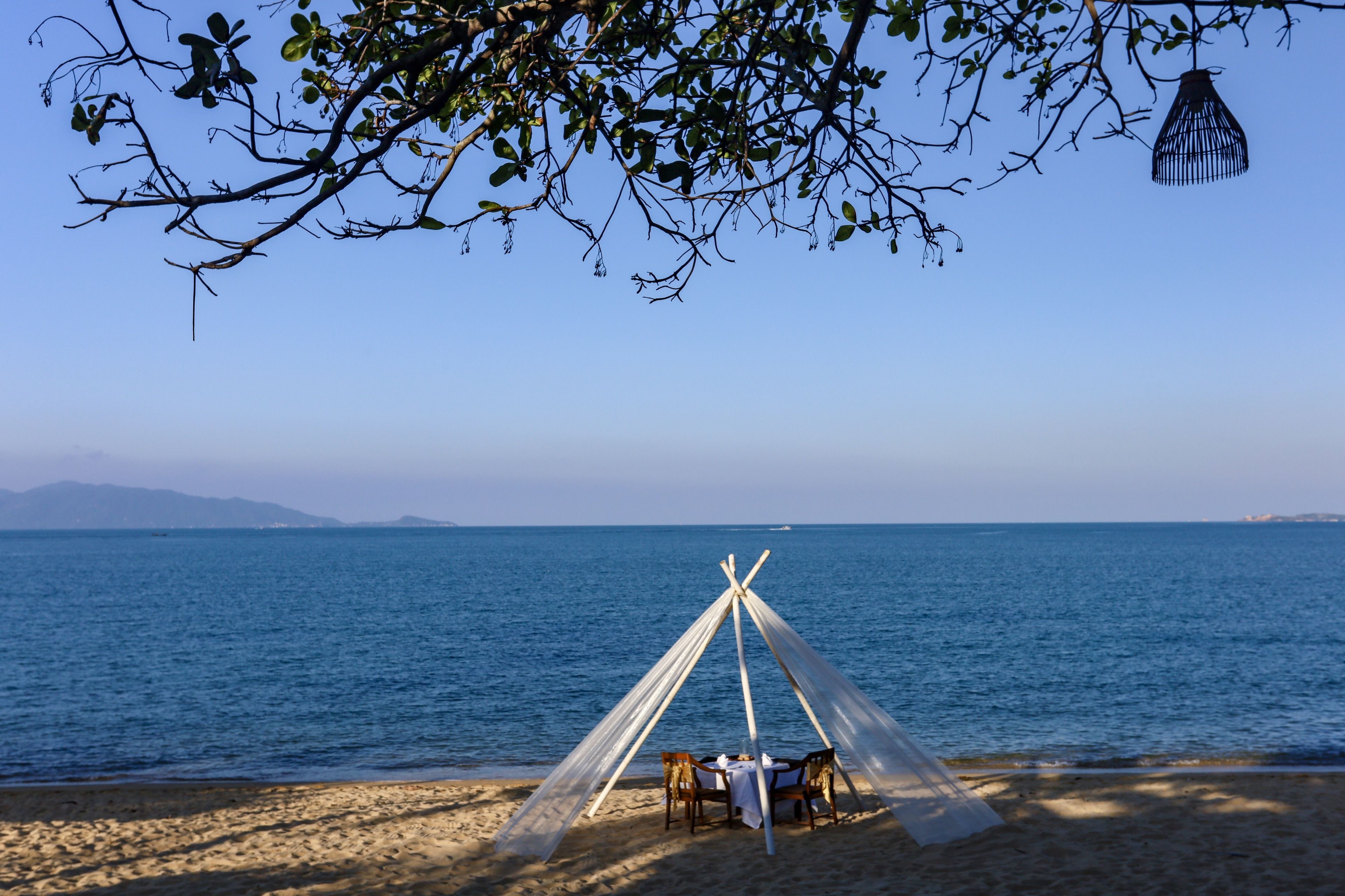 A beach with a tent and a table set up under a tree, overlooking the sea.