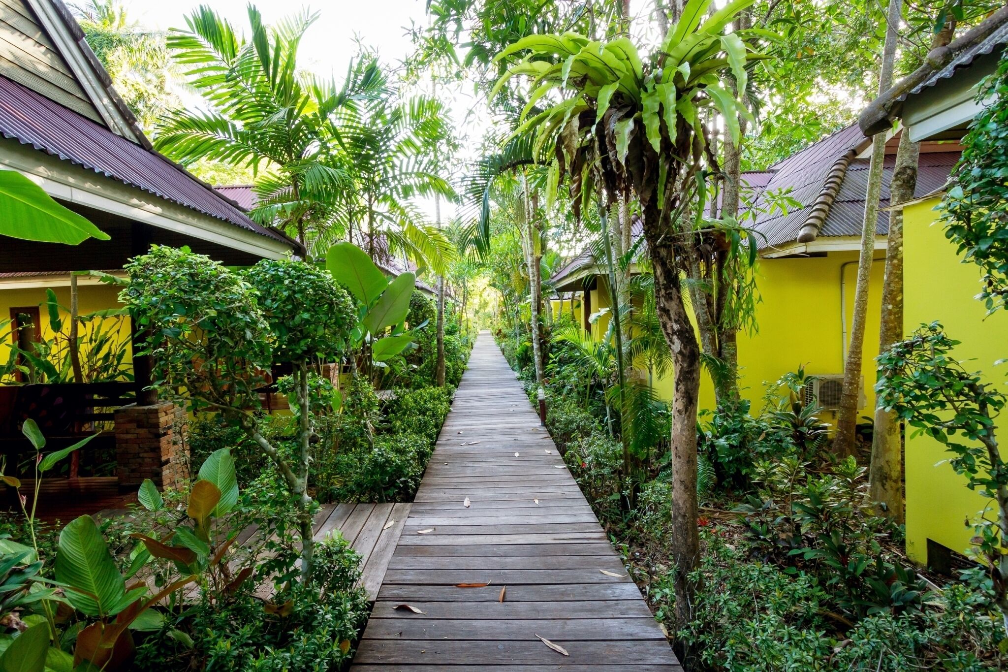 Habitación estándar, vista al jardín | Vista al jardín