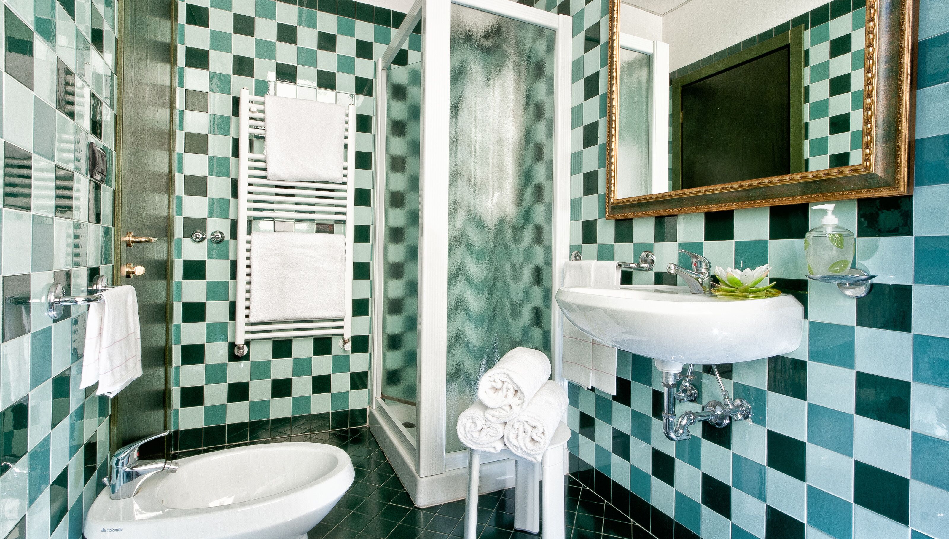 shower, free toiletries, hair dryer, bidet