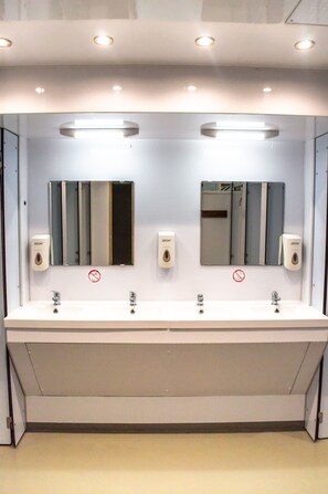 Bathroom - Hillspring Lodge (London)