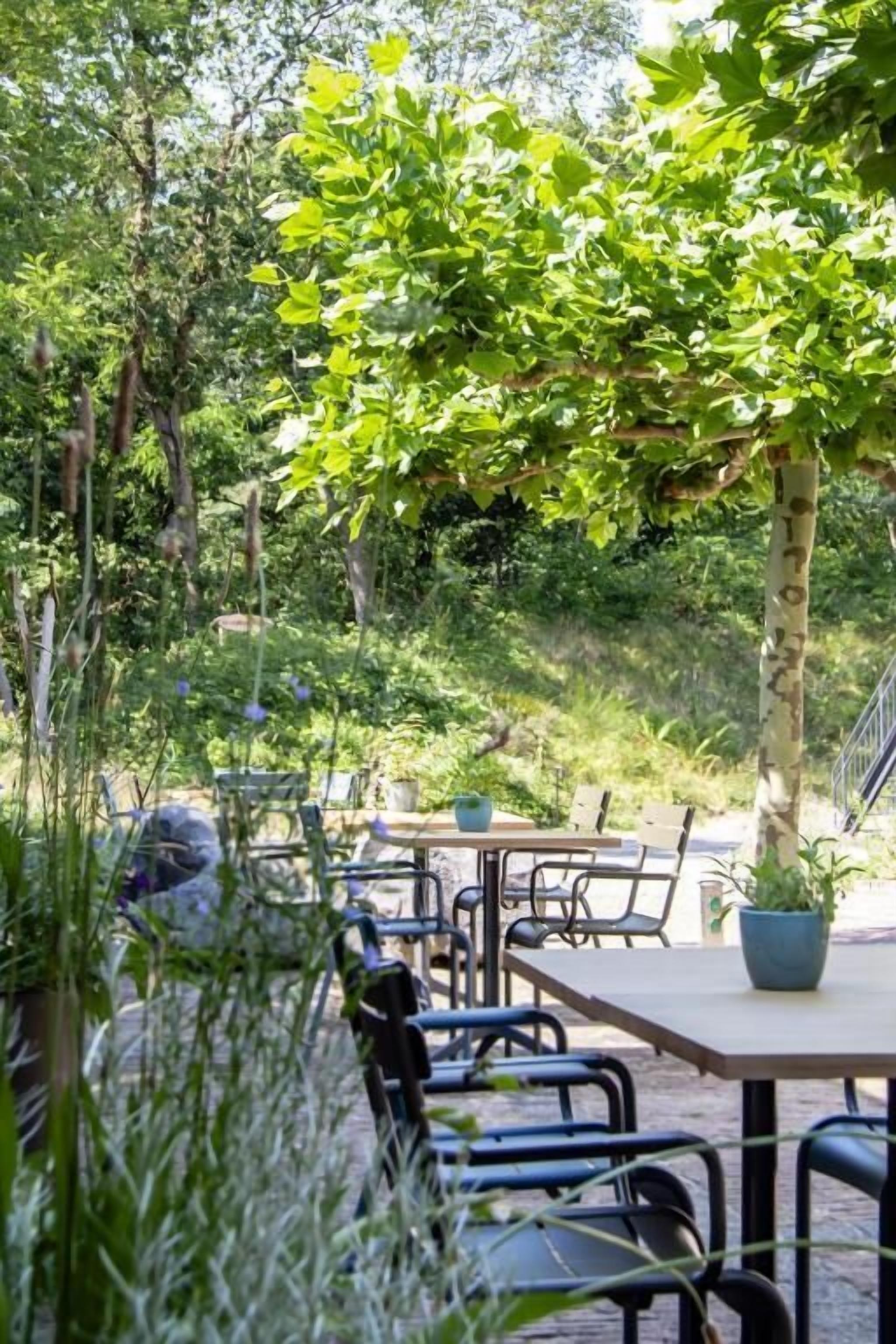 An outdoor seating area with tables and chairs, surrounded by lush greenery and trees.
