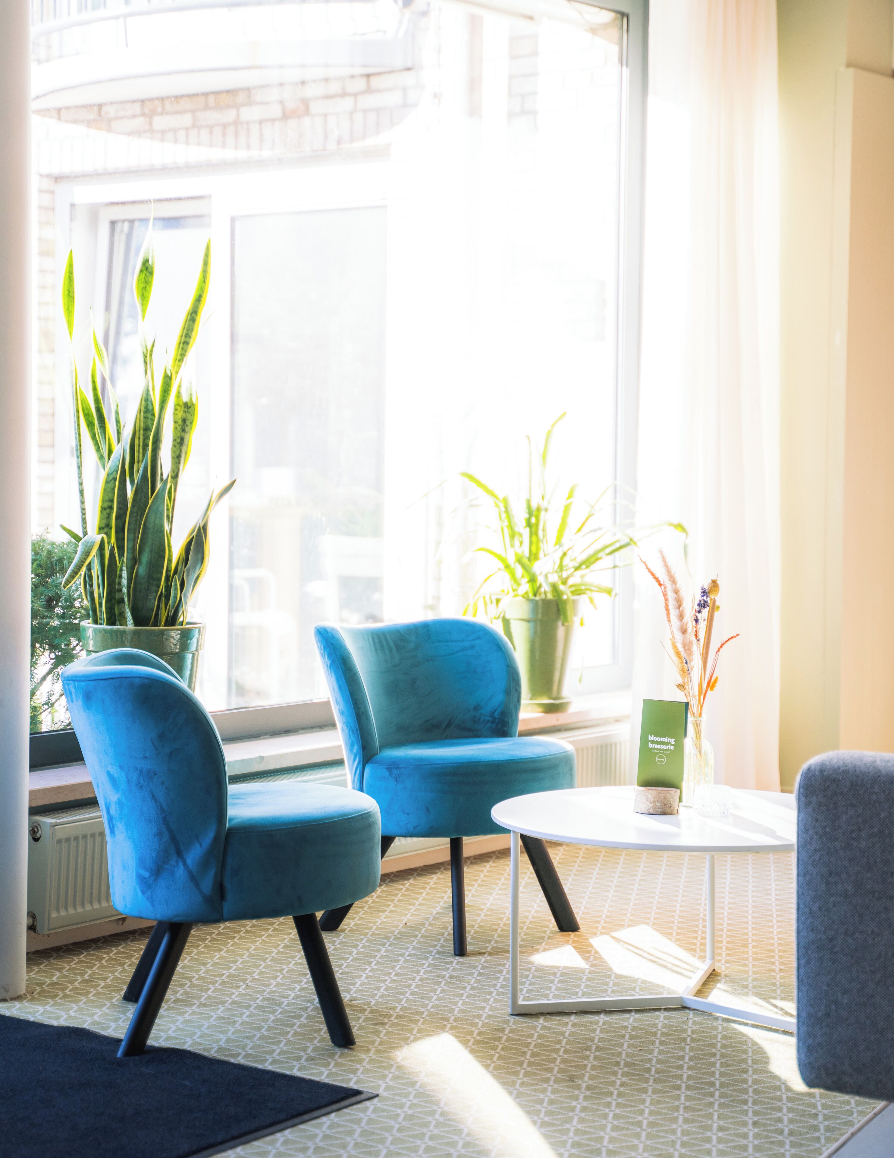 A modern room with two blue chairs, a small white table, and two potted plants.