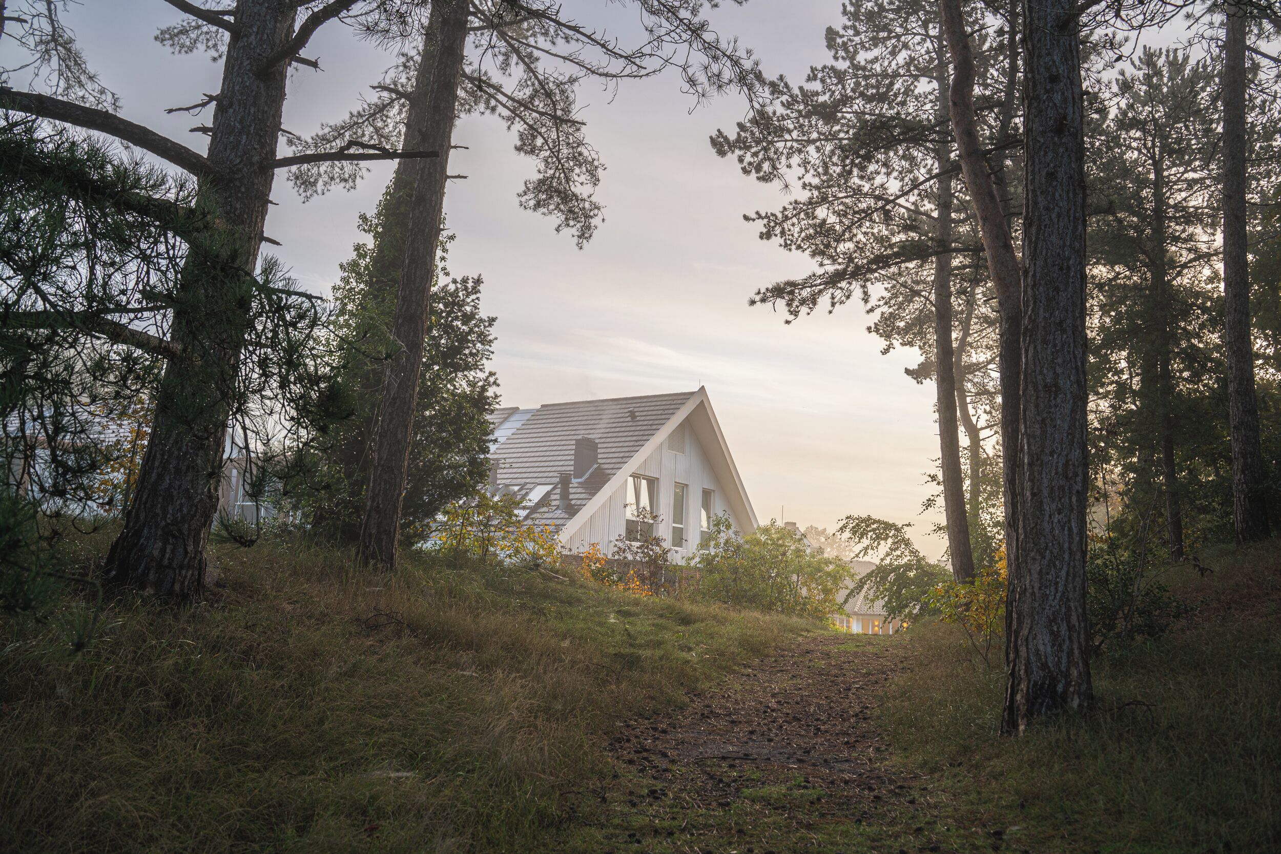 A house surrounded by tall trees with a clear path leading to it.