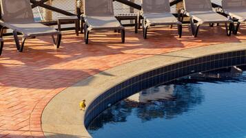A poolside area with lounge chairs and a tiled pool.