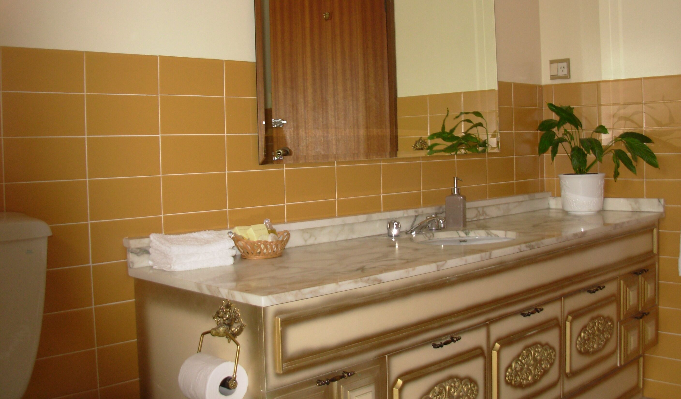 A bathroom with a double sink, a mirror, a toilet, and a decorative plant.