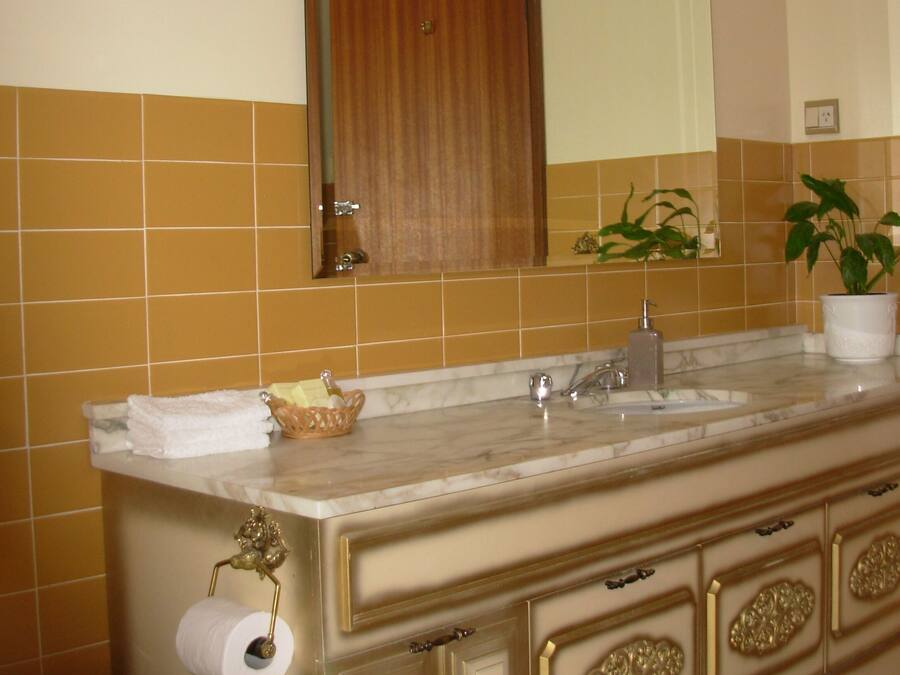 A bathroom with a double sink, a mirror, a toilet, and a decorative plant.