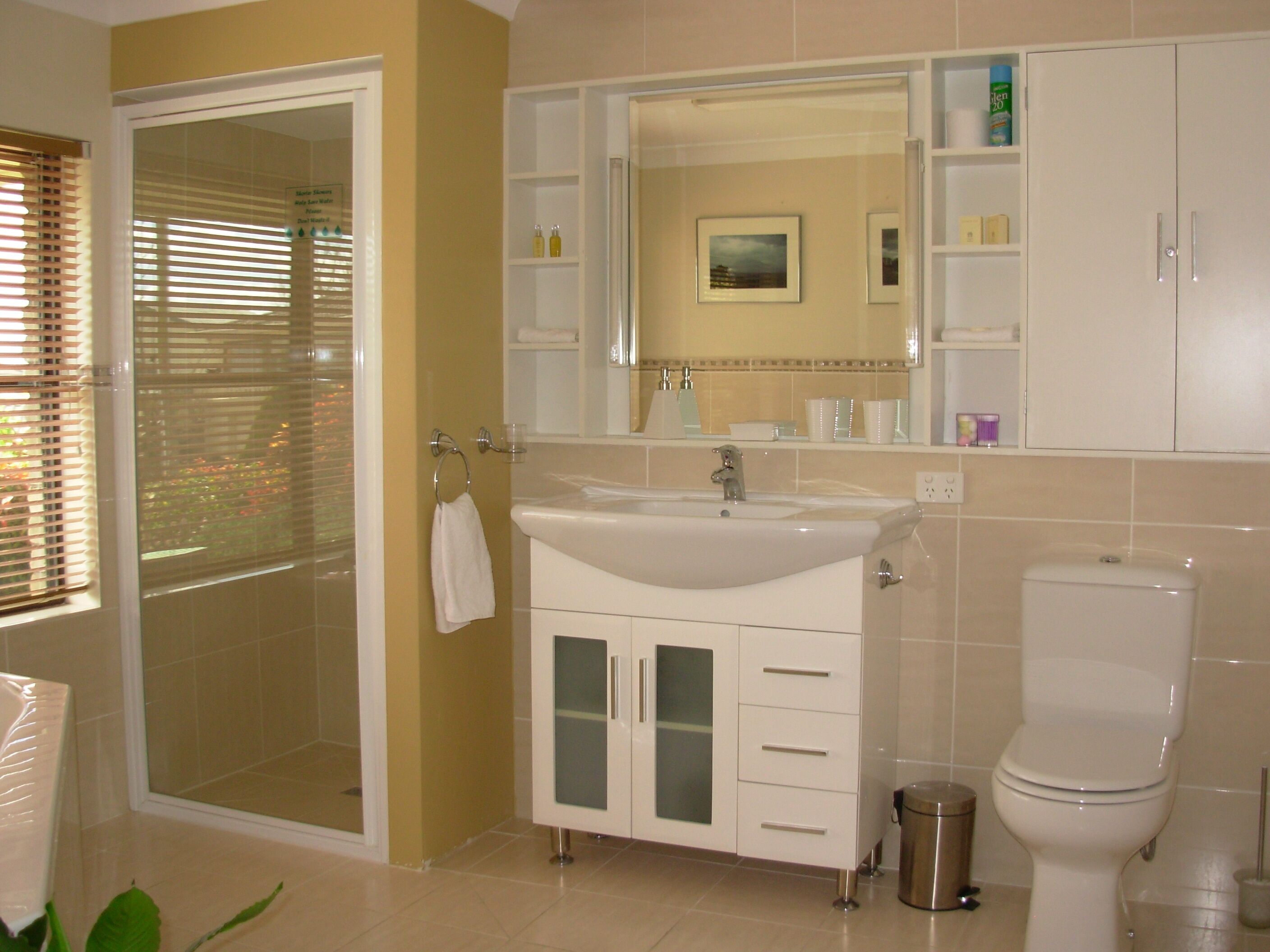 Une salle de bain avec une douche à parois de verre, un lavabo avec un miroir au-dessus et des toilettes.