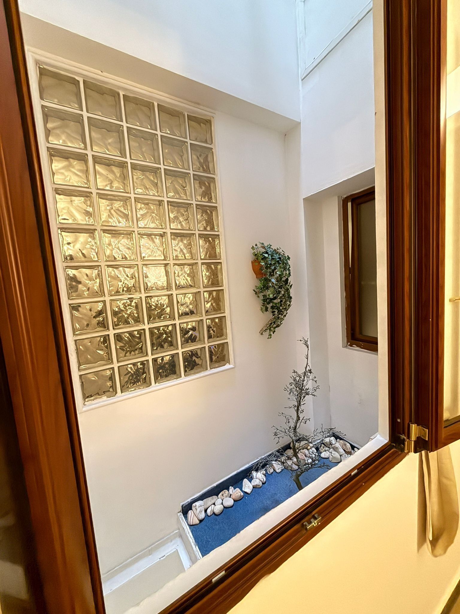 Photo - Hotel Plebiscito Aparthotel