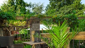 An outdoor patio with wicker furniture, a table, and a potted plant. - Cheshire Hospitality Ltd T/A Lennox Lea Studios & Apartments (Sale)