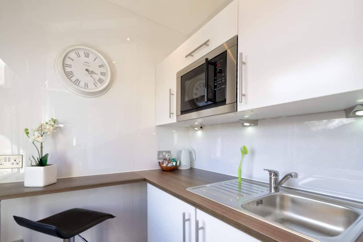 executive studio, 1 bedroom, kitchenette | private kitchenette | fridge, microwave, coffee/tea maker, electric kettle