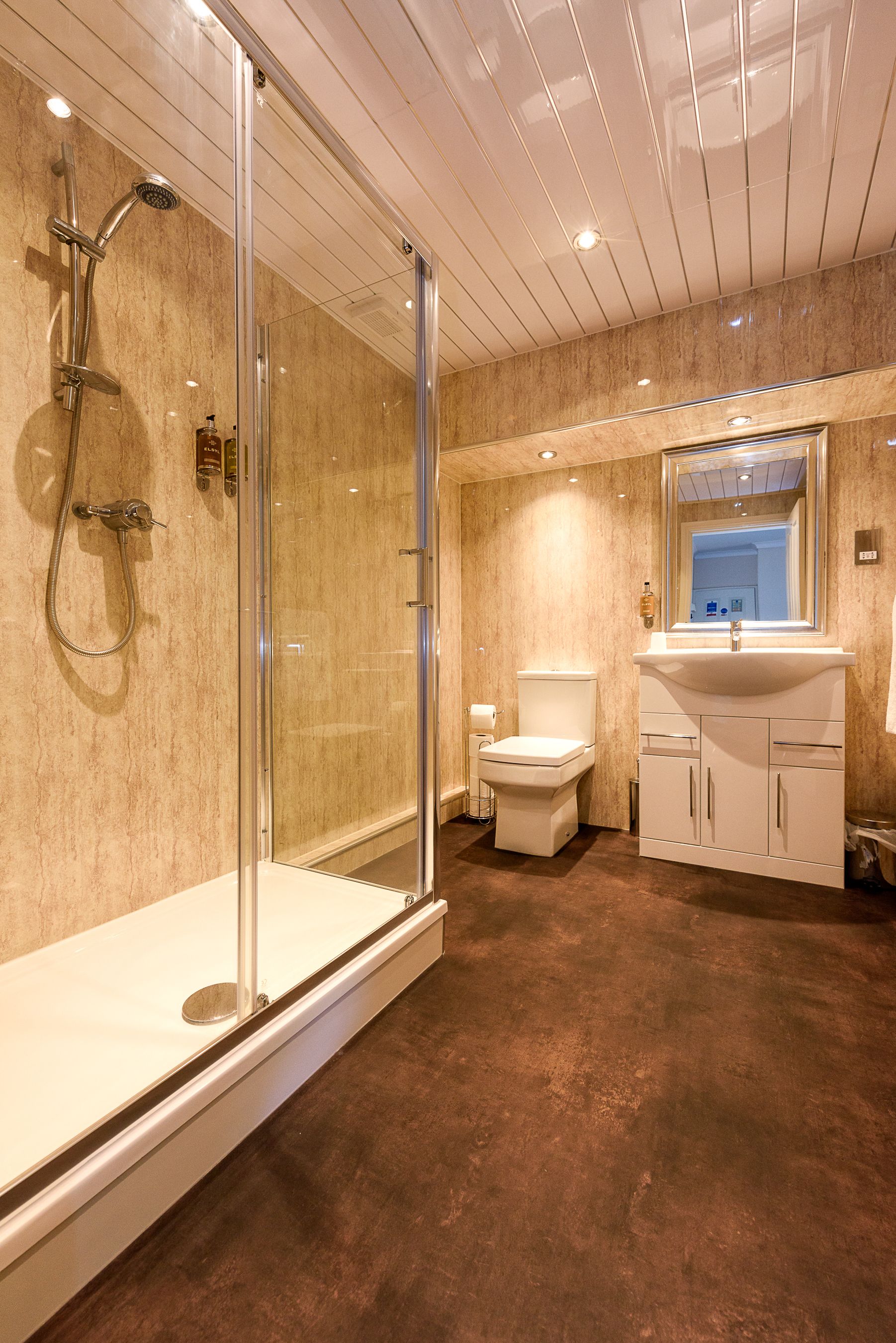 combined shower/bathtub, free toiletries, hair dryer, towels