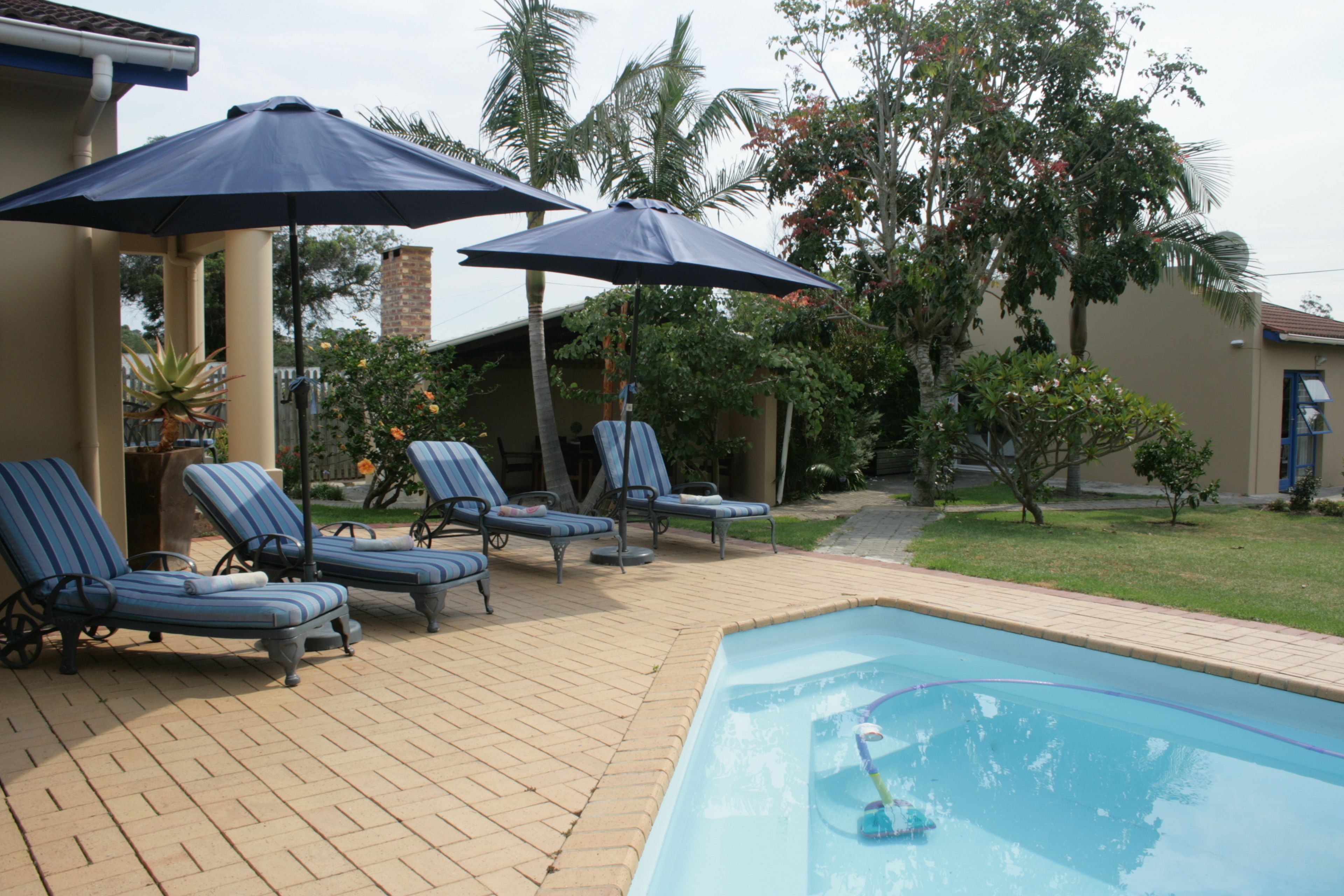 Piscine extérieure, chaises longues