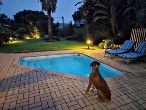 Pet-friendly - 113 On Robberg (Plettenberg Bay)
