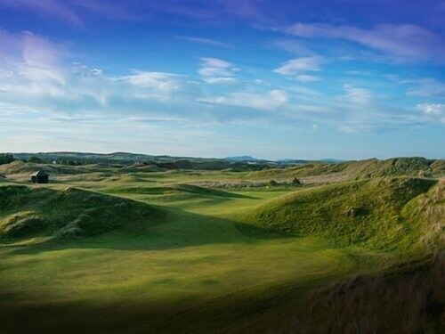 Flynns of Termonfeckin