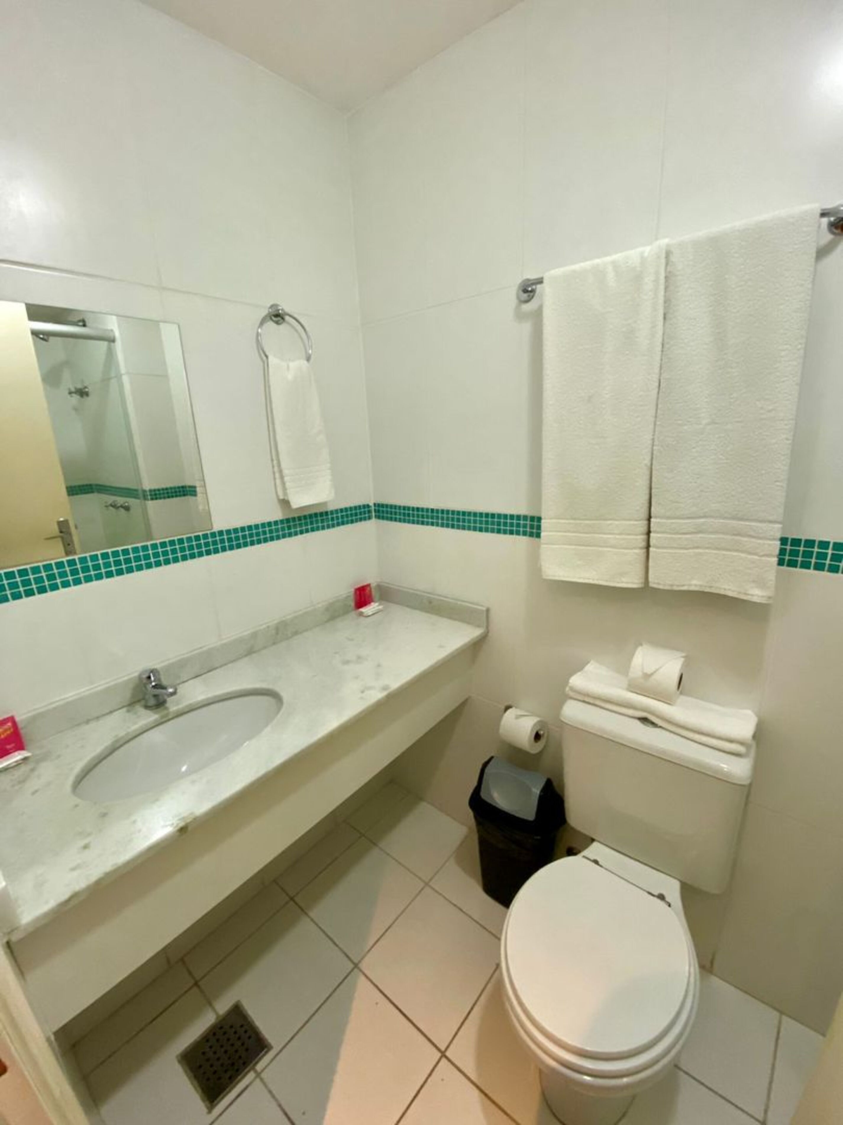 A bathroom with a sink, mirror, toilet, and a towel rack.