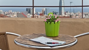 Een tafel met een groene plantenbak en een kaart, met uitzicht op een stadsgezicht en een opvallend gebouw in de verte.