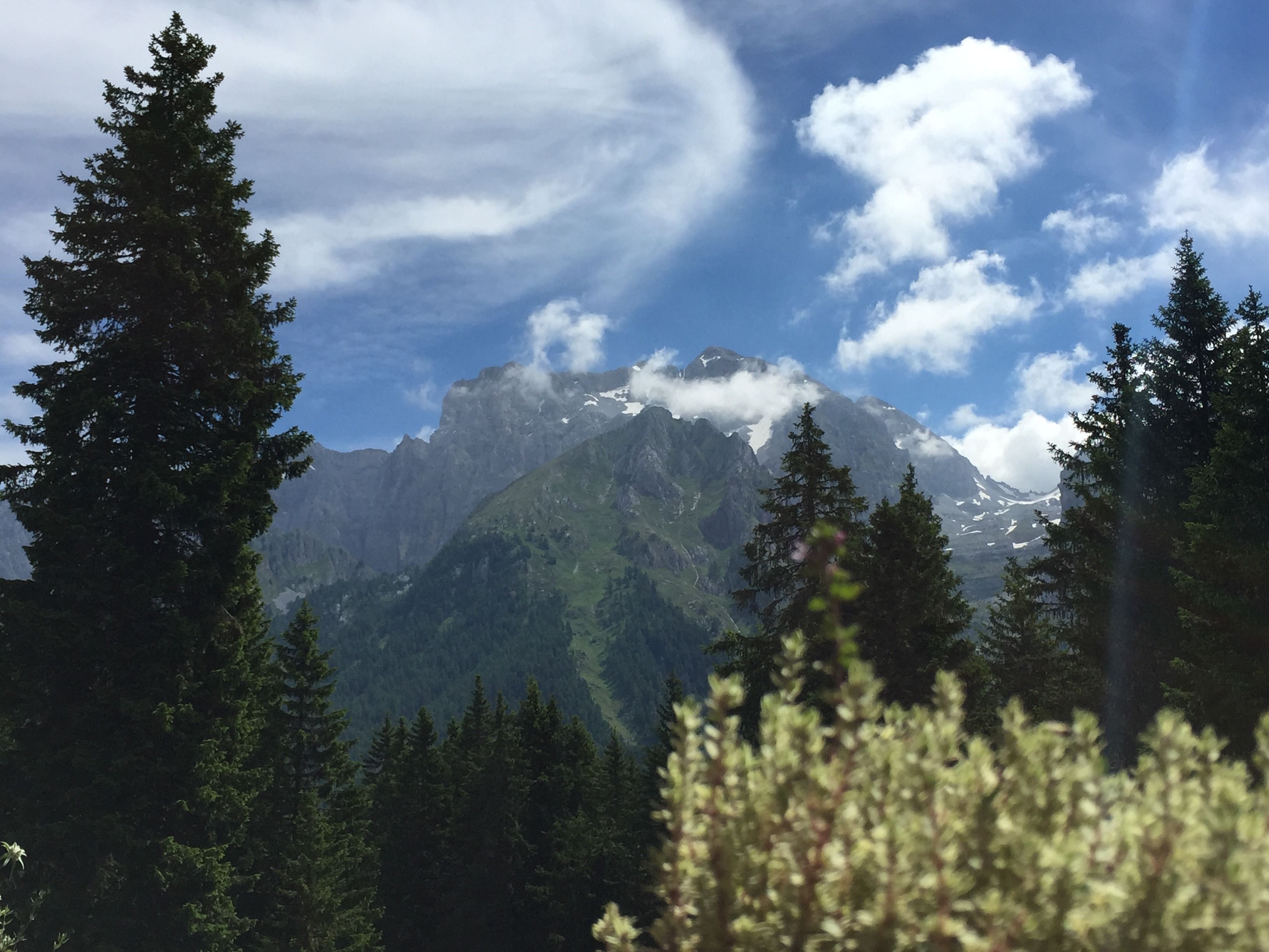 Un paysage de montagne avec une forêt dense et un sommet imposant.