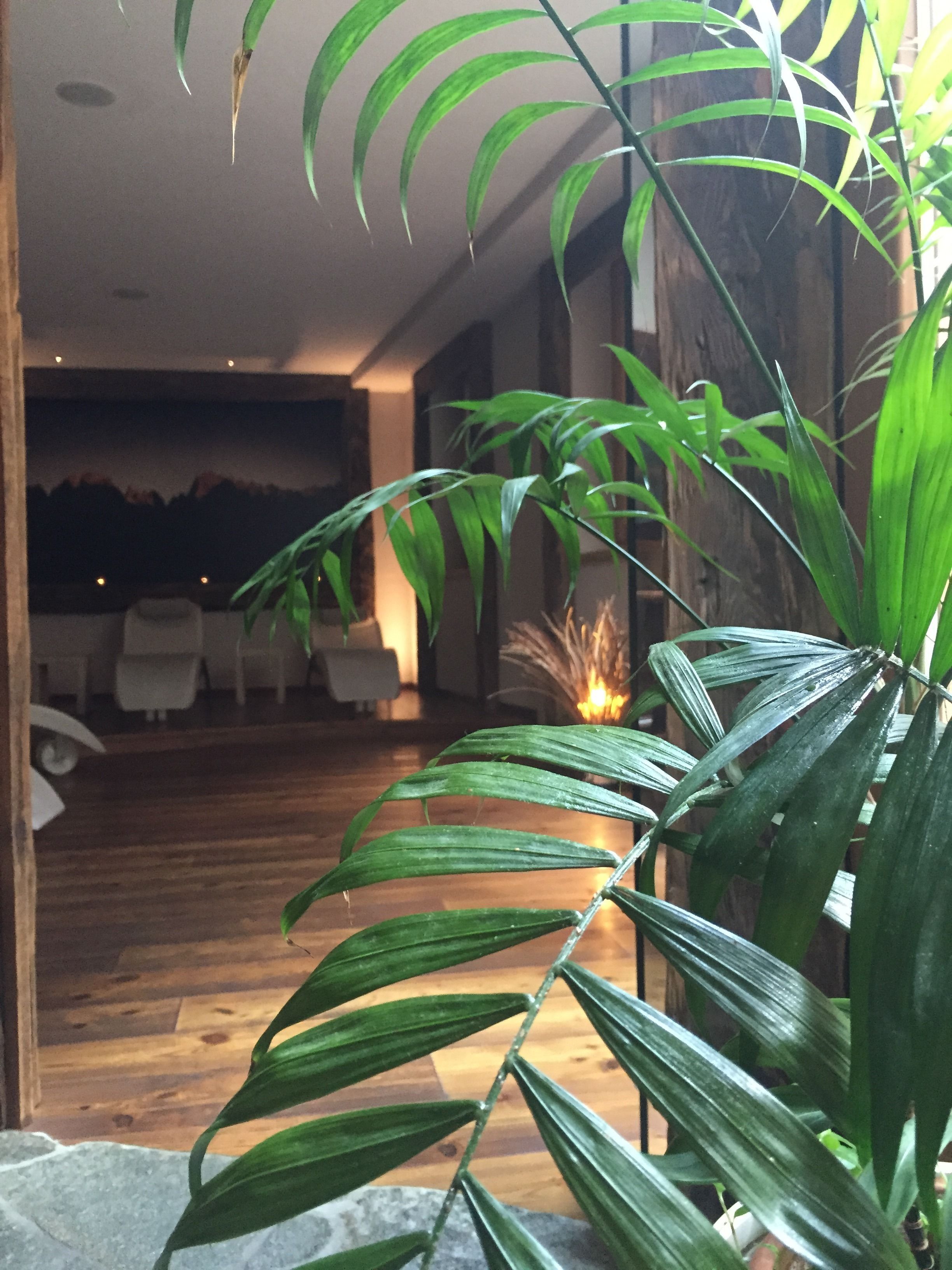 Sauna, Whirlpool, Dampfbad