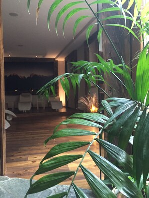 Sauna, hot tub, steam room - Hotel Maribel (Pinzolo)