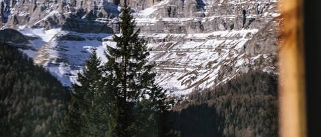 Berglandschap met besneeuwde toppen en een dicht bos.