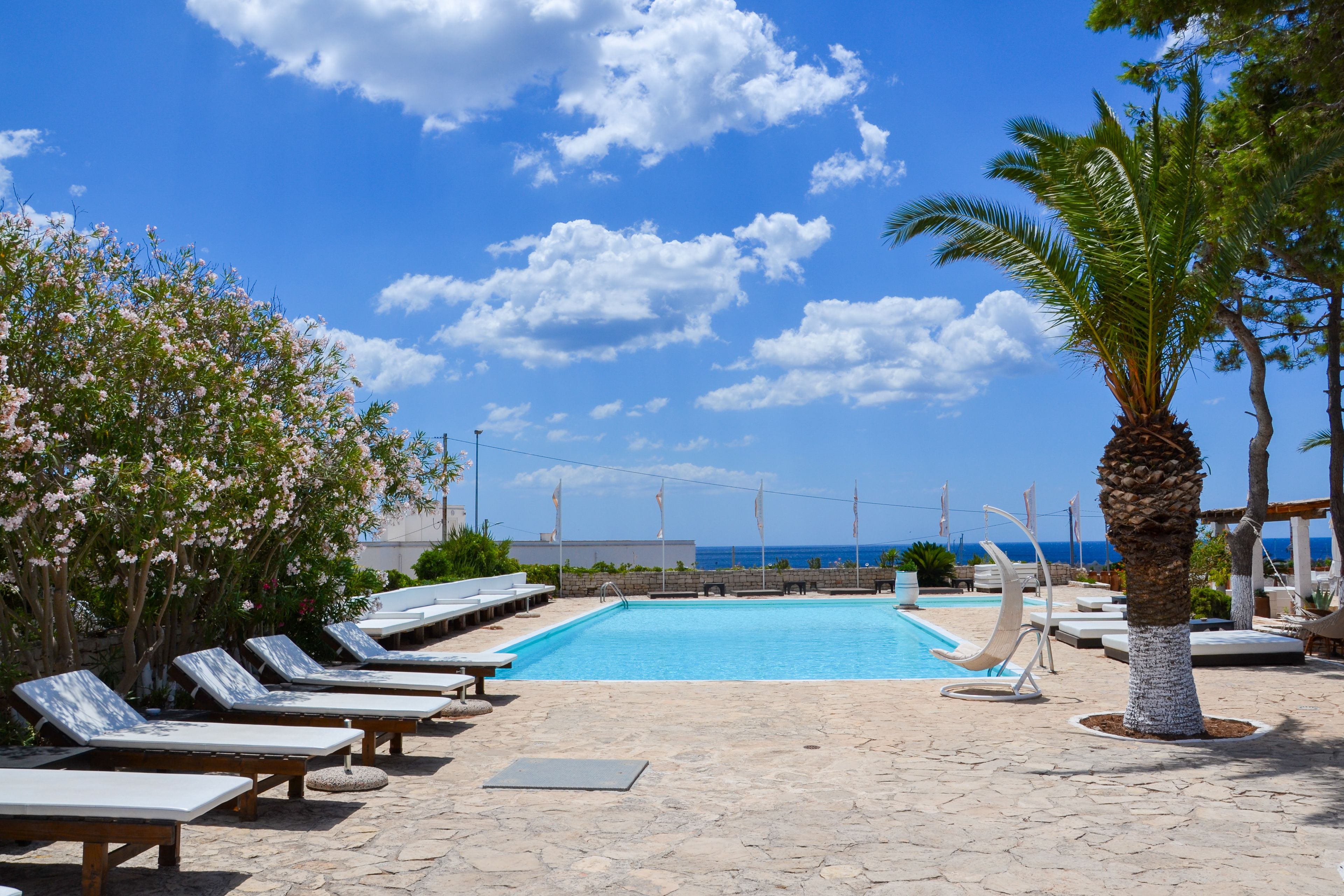 A pool area with lounge chairs, a palm tree, and a view of the sea.
