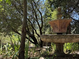 Una fuente de piedra en una zona boscosa.