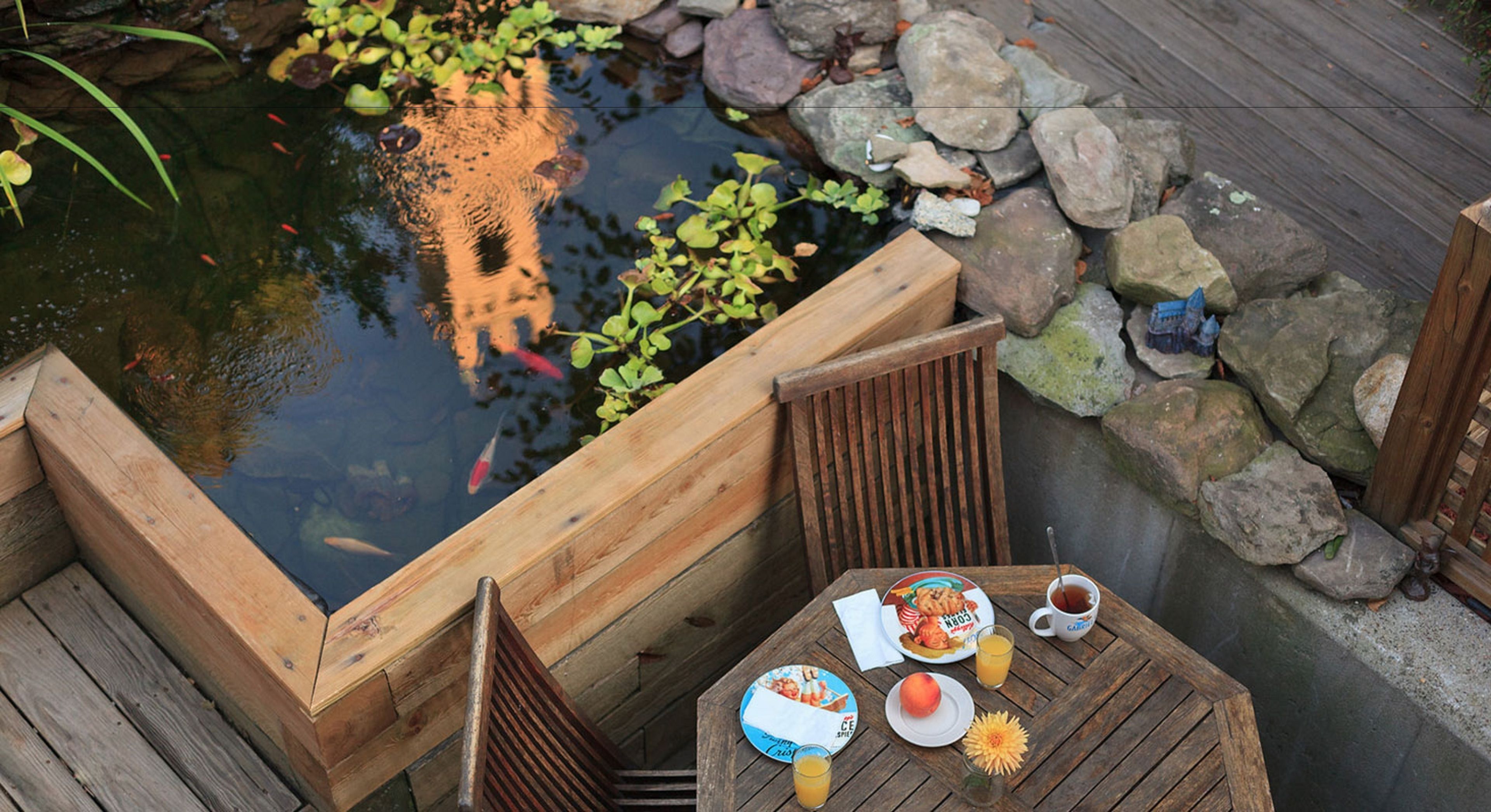 A wooden deck with a table set for breakfast, overlooking a pond with fish and plants.