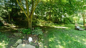 A serene garden with a large tree, a small pond, and wooden chairs.