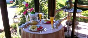 德累斯顿松树民宿