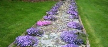 Vista da propriedade