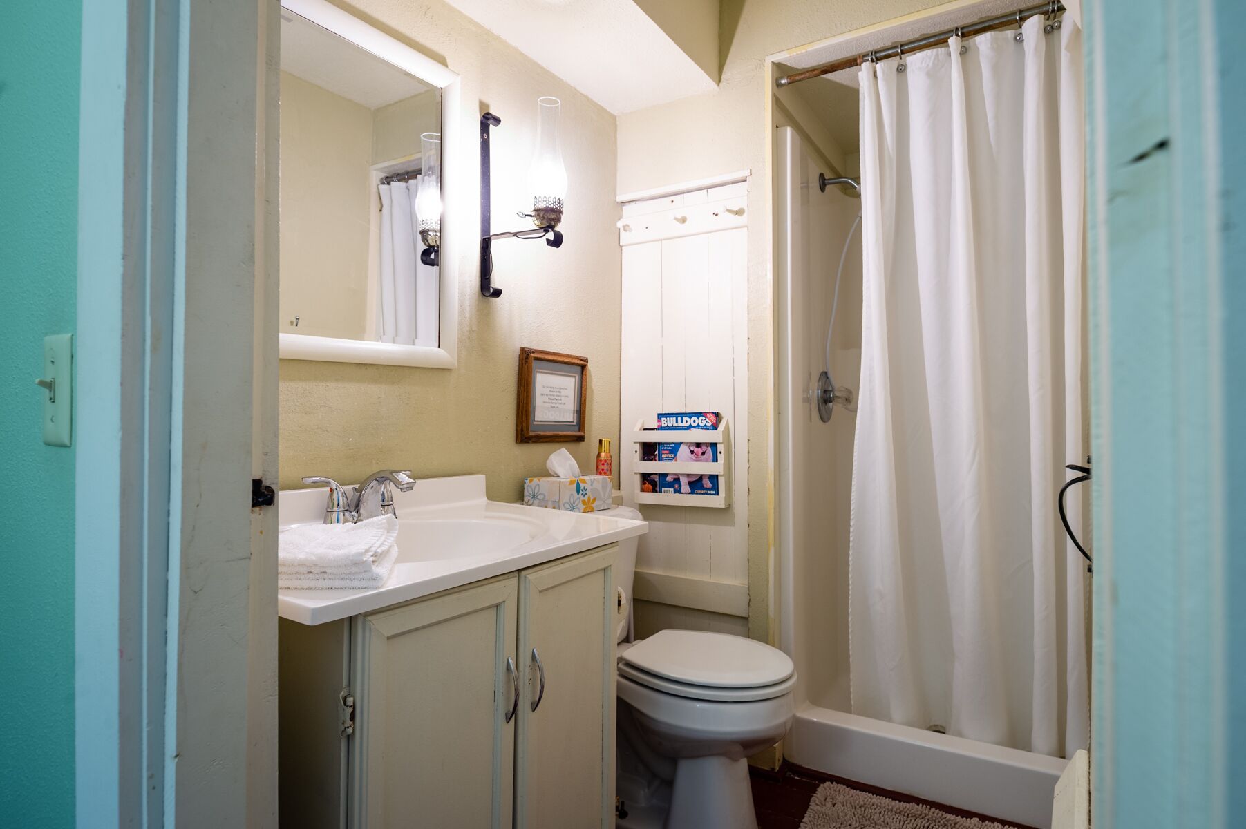 A bathroom with a white sink, a toilet, and a shower curtain. There is a framed picture on the wall and a box of Bulldog toilet paper on the counter.
