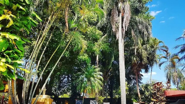Unclassified image, 1 of 74, button - Boutique Hotel Delafonte (Puerto Iguazú)