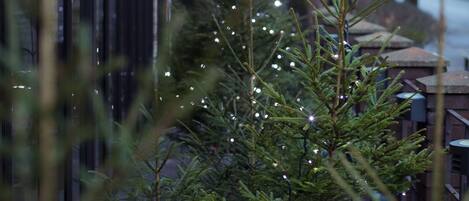 Ein kleiner Weihnachtsbaum mit Lichtern auf einer Holzdiele.