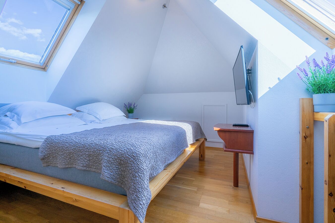 Doppia Standard | Minibar, una cassaforte in camera, una scrivania, insonorizzazione