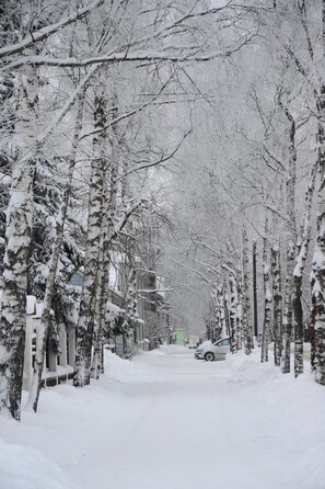 Property grounds - Villa Wesset (Parnu)