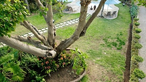 Un árbol con un jardín circular, un camino empedrado y una zona de estar con sombrillas.