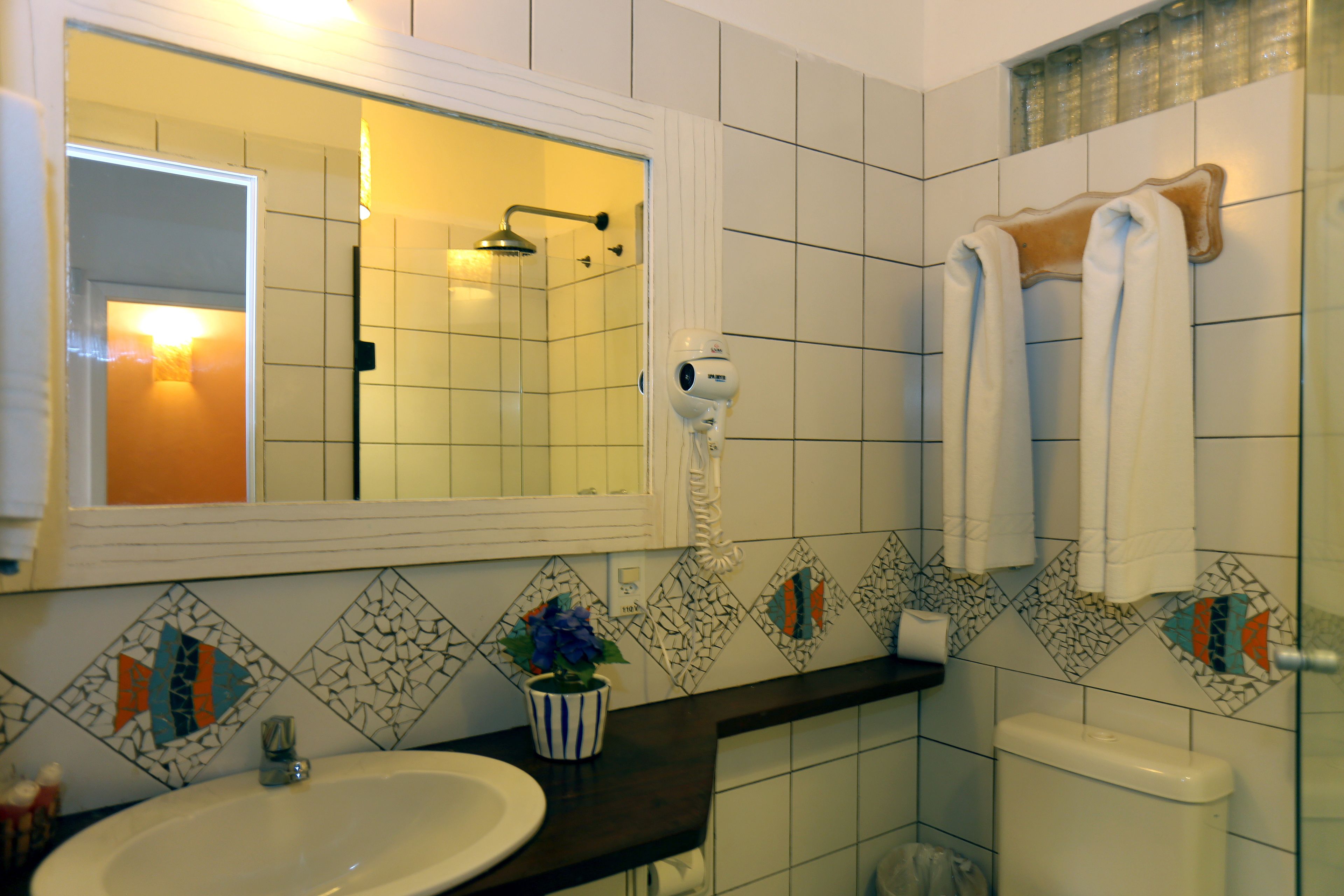 shower, free toiletries, hair dryer, bidet