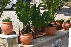 Property grounds - Lefkorama (Karpathos)