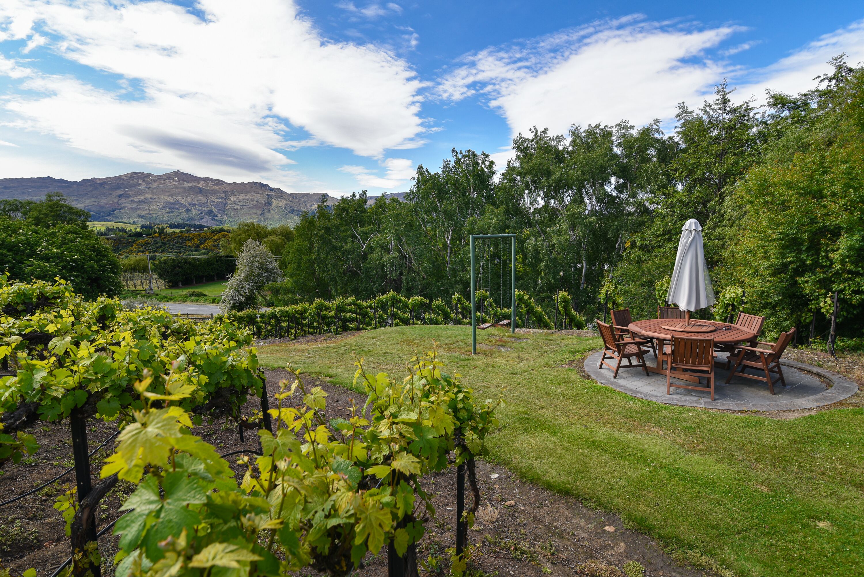 A vineyard with a patio table and chairs, surrounded by lush greenery and mountains in the background.