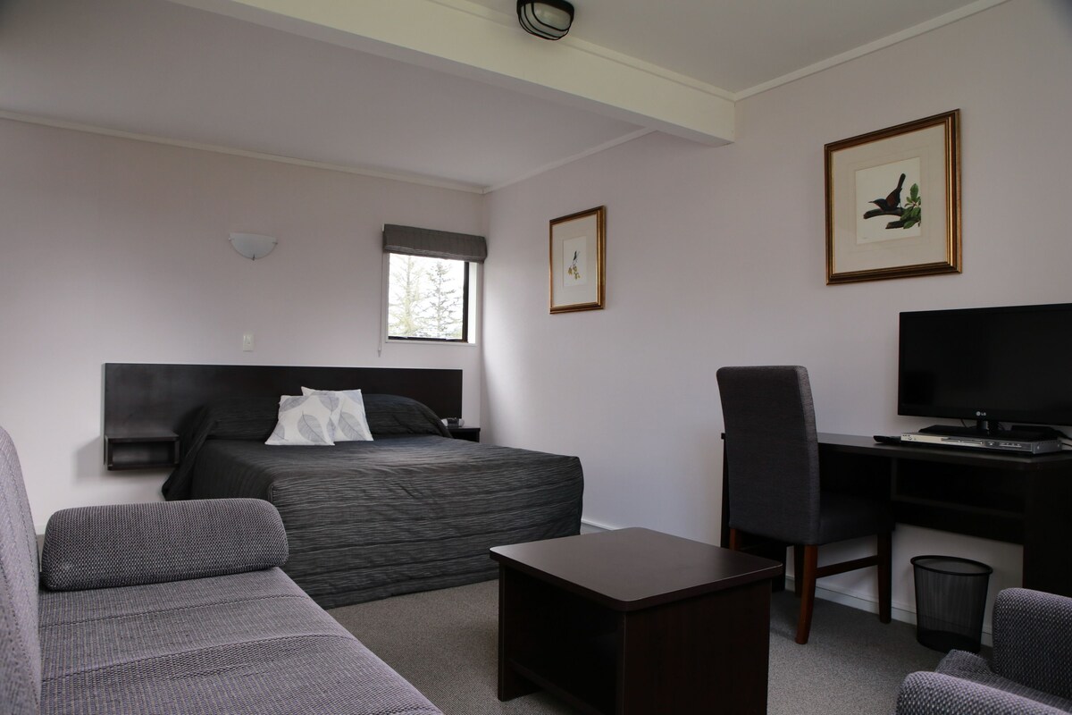 Executive Queen Room | Individually furnished, desk, iron/ironing board, free WiFi