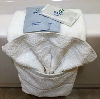 Bañera con ducha, artículos de tocador gratuitos, secador de pelo