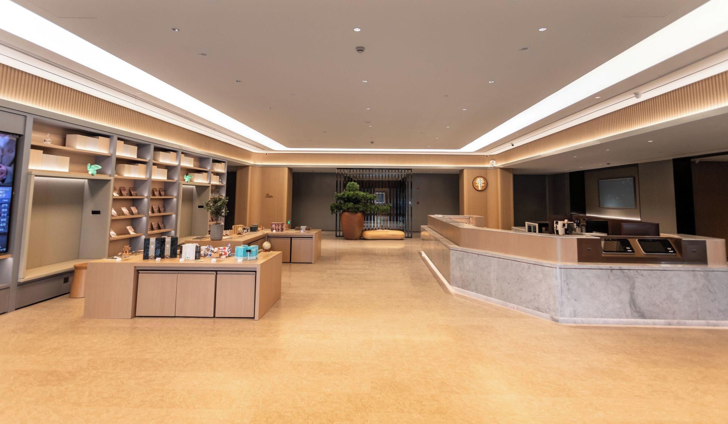 A modern hotel lobby with a reception desk, seating area, and a large plant in the center.