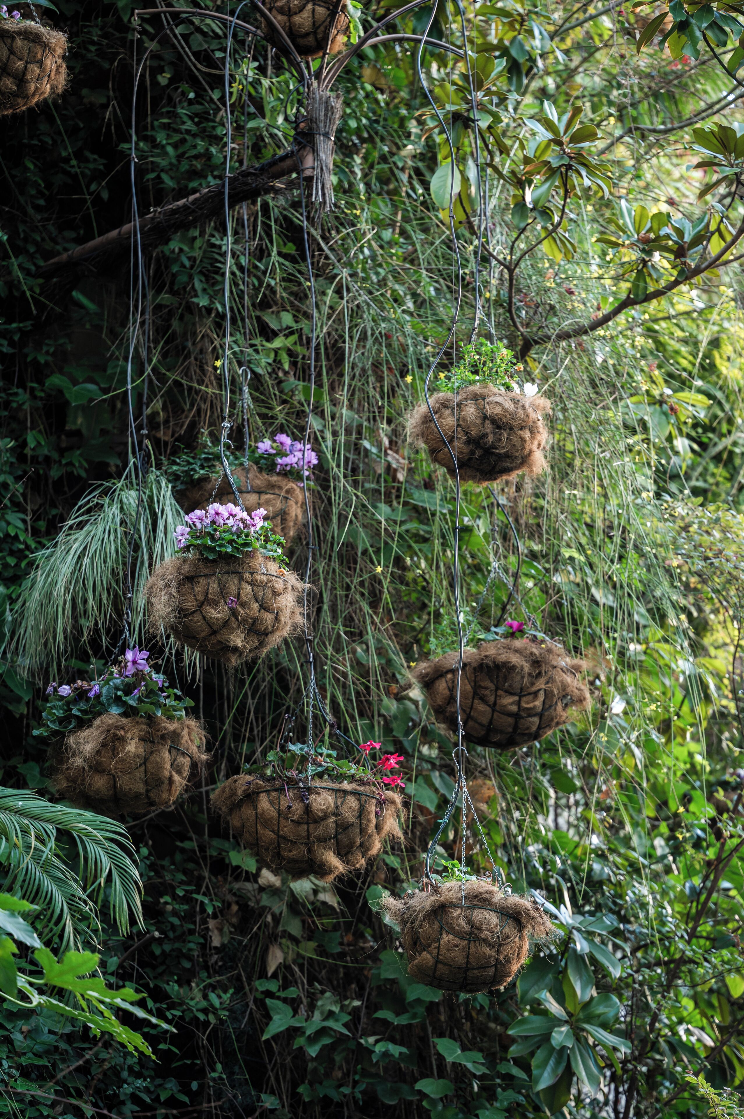 A vertical garden with hanging planters filled with plants and flowers.