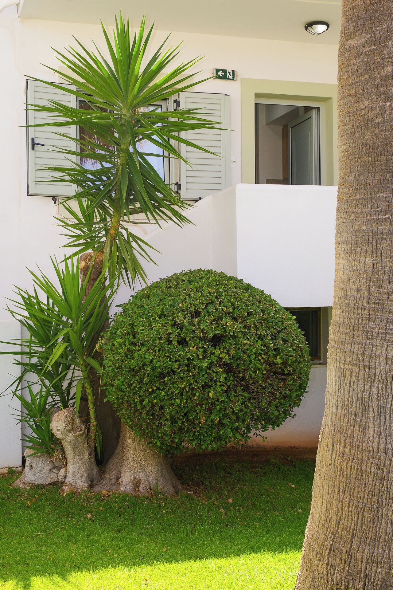 Superior Studio (for 2) | Terrace/patio