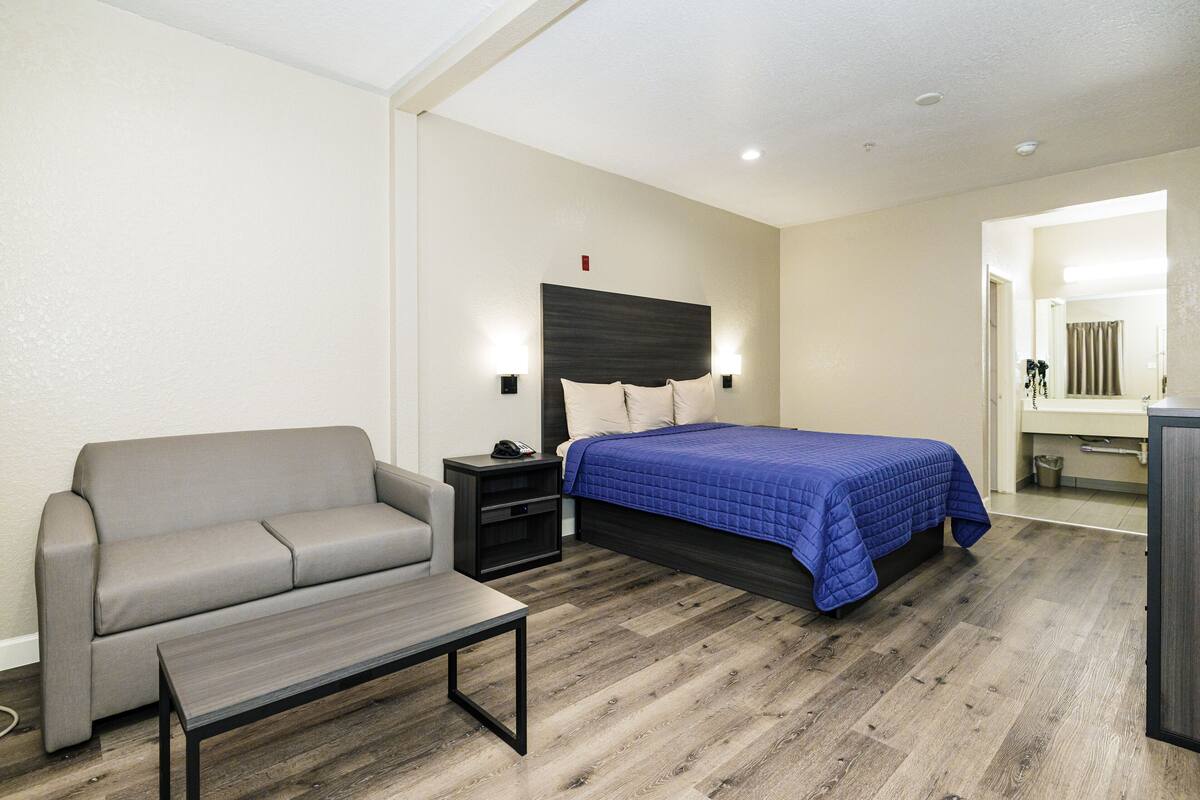 A bedroom with a bed, a sofa, a nightstand, a desk, and a mirror.
