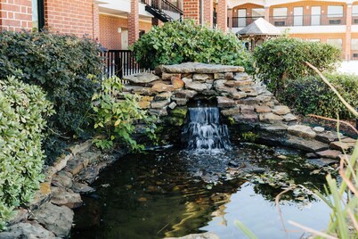 Winchester Inn & Suites Humble/IAH/North Houston