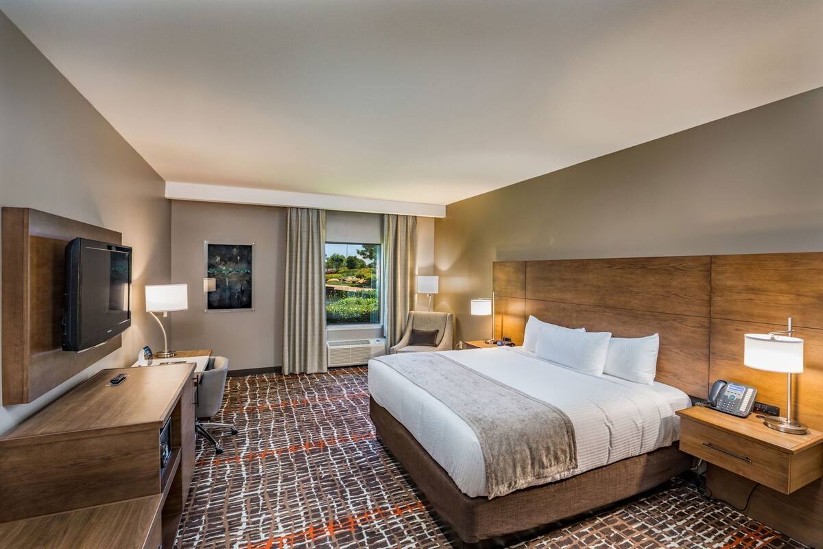 A hotel room with a large bed, a desk, a TV, and a window with a view of greenery.
