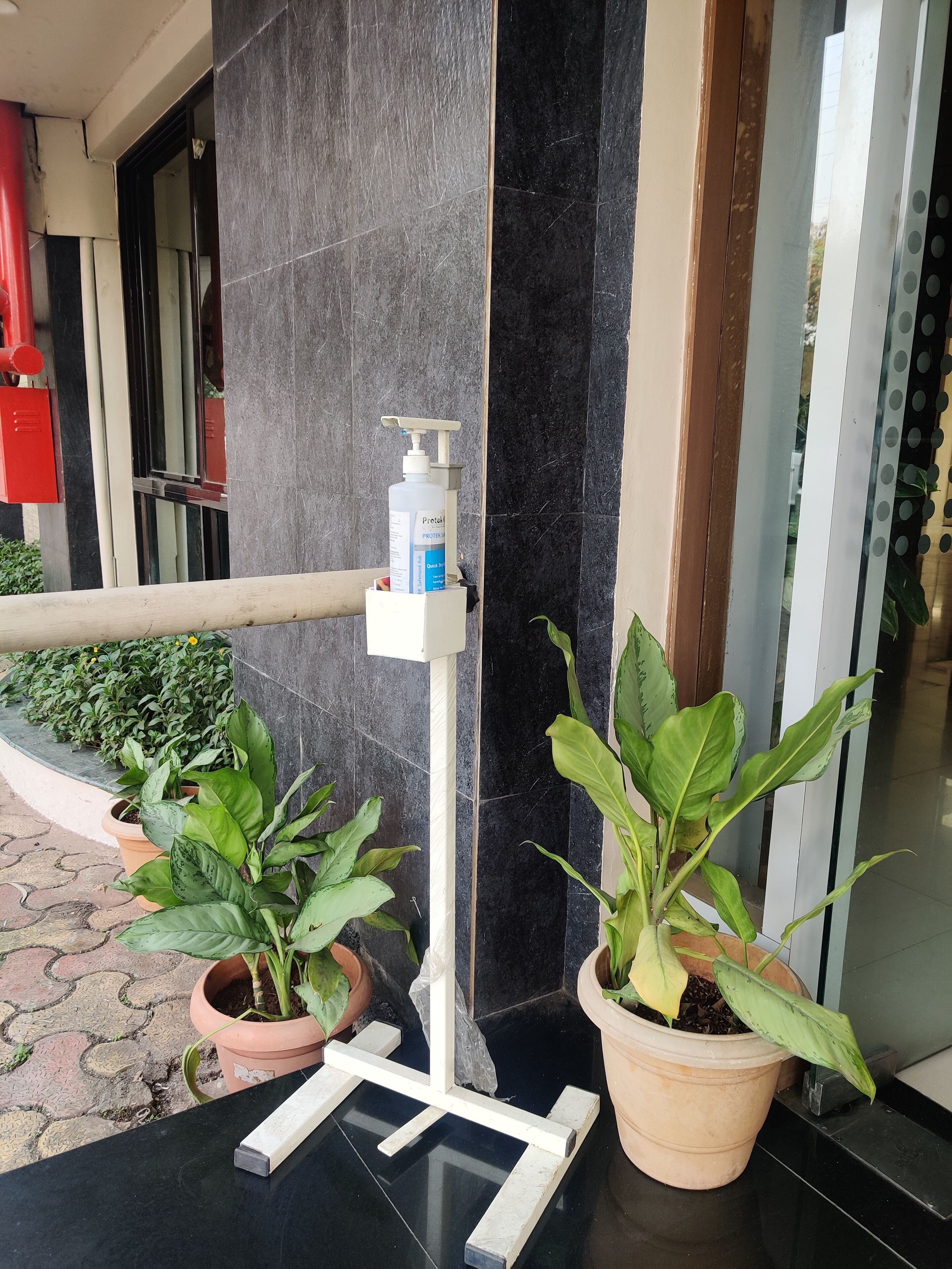 A potted plant, a hand sanitizer dispenser, and a tiled wall.